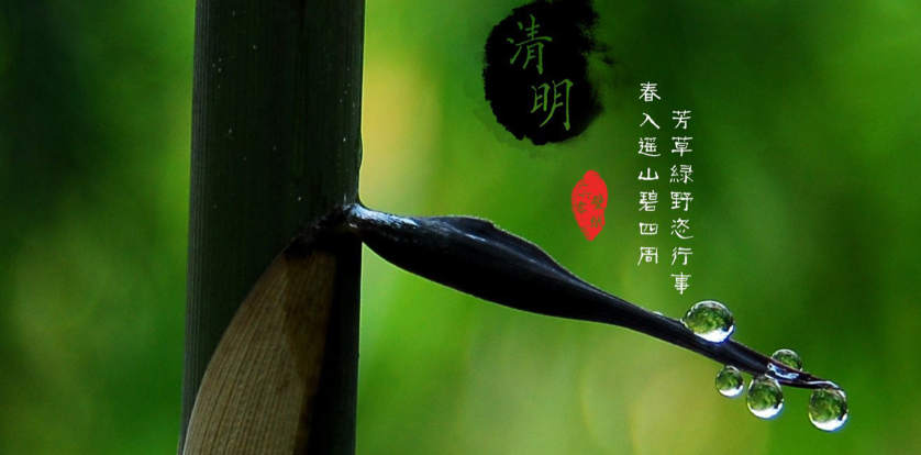 慈愿智慧殯葬告訴您：清明之后這十五天要做事情！